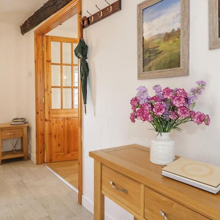 Cyffdy Cottage - Tegid Bala Zewnętrze zdjęcie